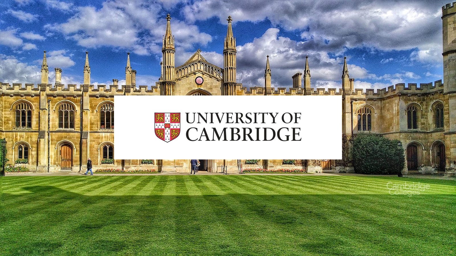 Read more about the article 劍橋原來有科目收生率達五成？2027 入學必睇資訊