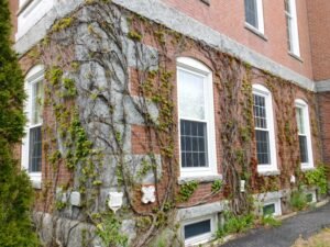 Traditional Chinese: 美國常春藤盟校哈佛大學Harvard與哥倫比亞大學Columbia地標建築景致對比圖，象徵全美最頂尖大學本科直申與Ivy Day放榜戰略規劃 Simplified Chinese: 美国常春藤盟校哈佛大学Harvard与哥伦比亚大学Columbia地标建筑景致对比图，象征全美最顶尖大学本科直申与Ivy Day放榜战略规划 English: Side by side Ivy League campus comparison between Harvard University and Columbia University, representing selective regular decision track and Ivy Day results